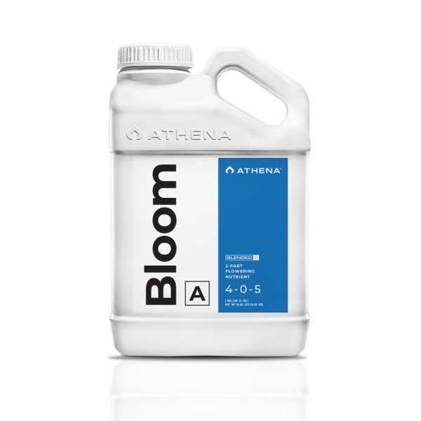 Athena Bloom A 3,78l