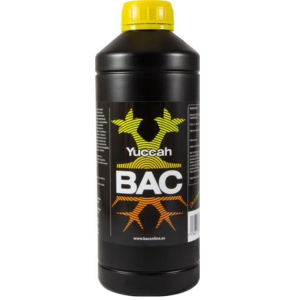 B.A.C. Yuccah, 1L