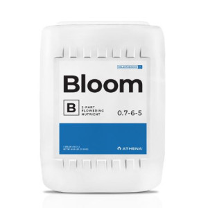 Athena Bloom B 18,9l