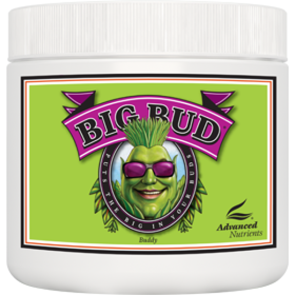 Advanced Nutrients Big Bud Powder 2,5kg