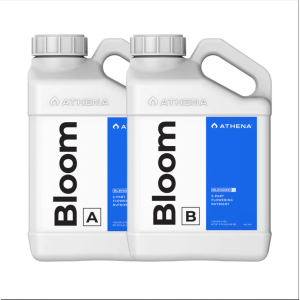 Athena Bloom B 0,94l