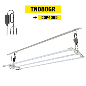 Secret Jardin Cosmorrow TNOLED 2x40W, růst
