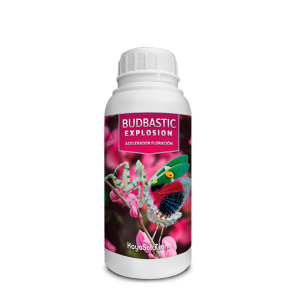 Budbastic Explosion - květový stimulátor, 250 ml