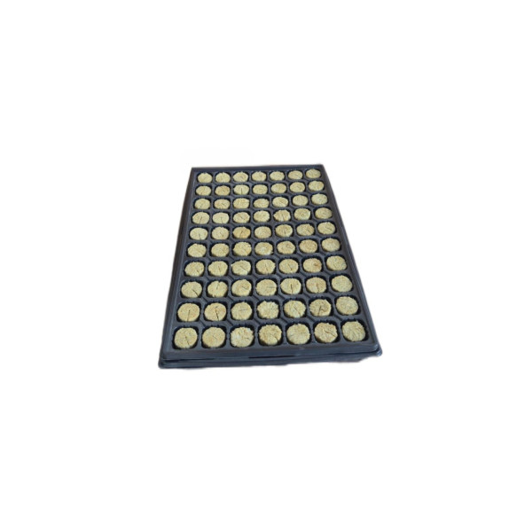 Begrow® sadbovací plug 36 x 40 mm v sadbovači, 70 ks