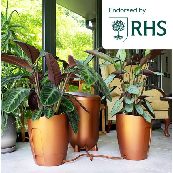AutoPot Khloris Watering System - Complete System (Copper colour)