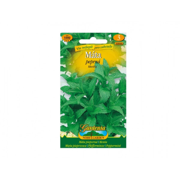 Máta peprná