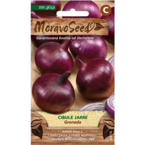 Cibule jarní červená Grenada - Allium cepa L.