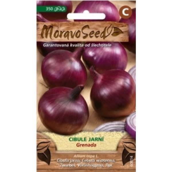 Cibule jarní červená Grenada - Allium cepa L.