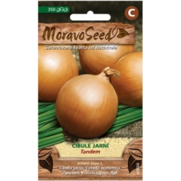 Cibule jarní žlutá Tandem - Allium cepa L.