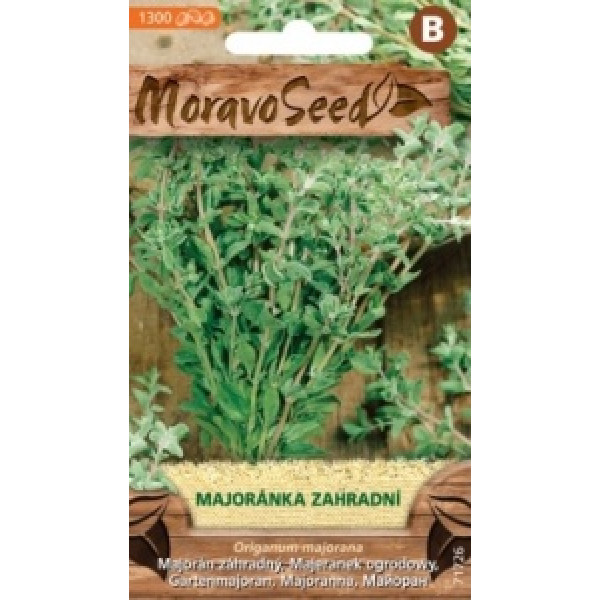 Majoránka zahradní - Origanum majorana