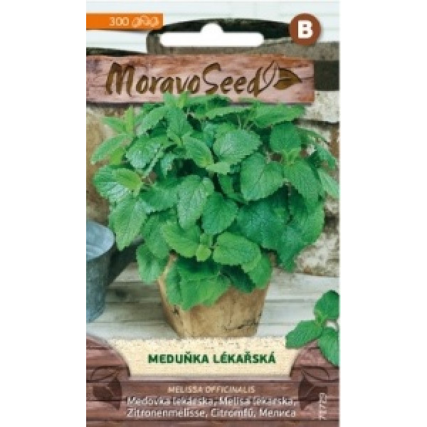 Meduňka lékařská - Melissa officinalis