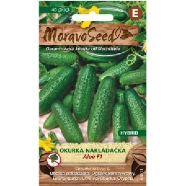 Okurka nakládačka Aloe F1 - Cucumis sativus L.
