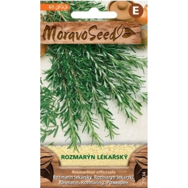 Rozmarýn lékařský - Rosmarinus officinalis