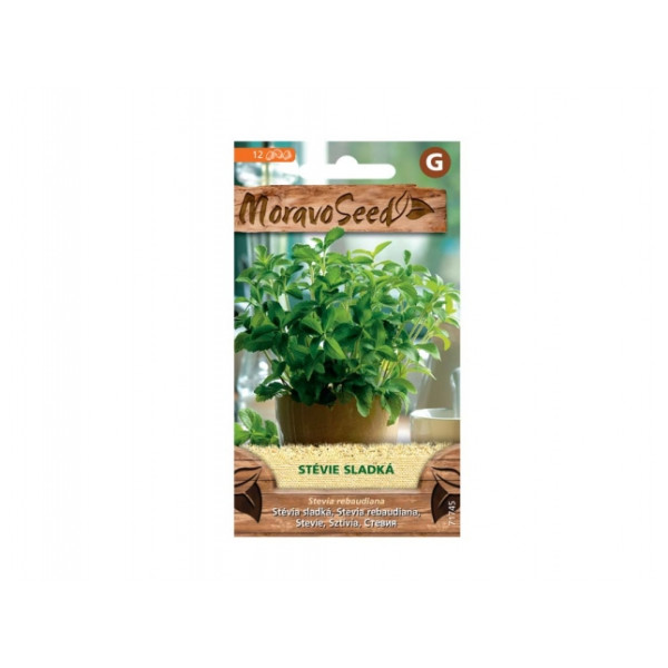 Stévie sladká - Stevia rebaudiana