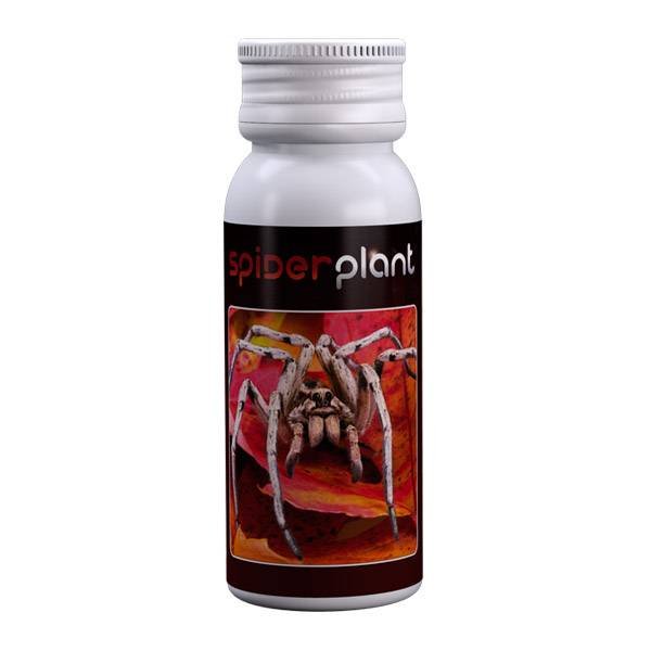 Spider Plant - přírodní postřik, 60ml