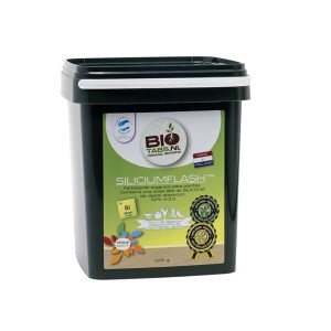 Biotabs Silicium Flash, 5000g