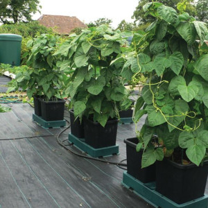 AutoPot Easy2grow Kit se 12 květináči, bez Flexitank