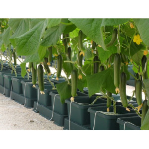 AutoPot Easy2grow Kit se 16 květináči, bez Flexitank
