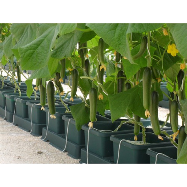 AutoPot Easy2grow Kit se 16 květináči, bez Flexitank