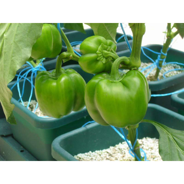 AutoPot Easy2grow Kit se 20 květináči, bez Flexitank
