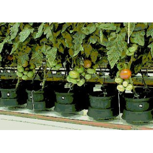 AutoPot Easy2grow Kit se 48 květináči, bez Flexitank