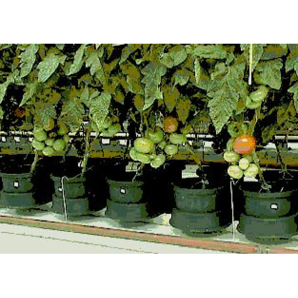 AutoPot Easy2grow Kit se 48 květináči, bez Flexitank