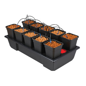 Wilma Small Wide 10x6L, 120x60x20cm