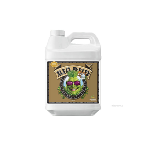 Advanced Nutrients Big Bud Coco Liquid 250 ml