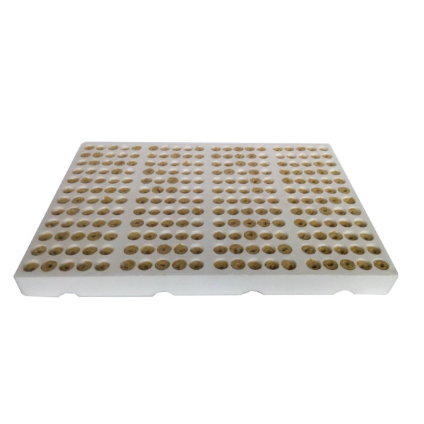GRODAN polystyrenový sadbovač pro 240 rostlin, box/12ks