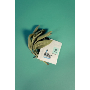 Integra Boost 62% 4g, pinene, 1 ks