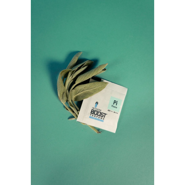 Integra Boost 62% 4g, pinene, 1 ks
