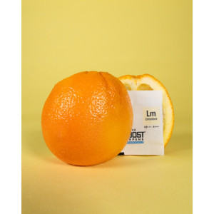 Integra Boost 62% 4g, limonene, 1 ks