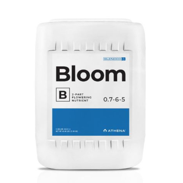 Athena Bloom B 18,9l