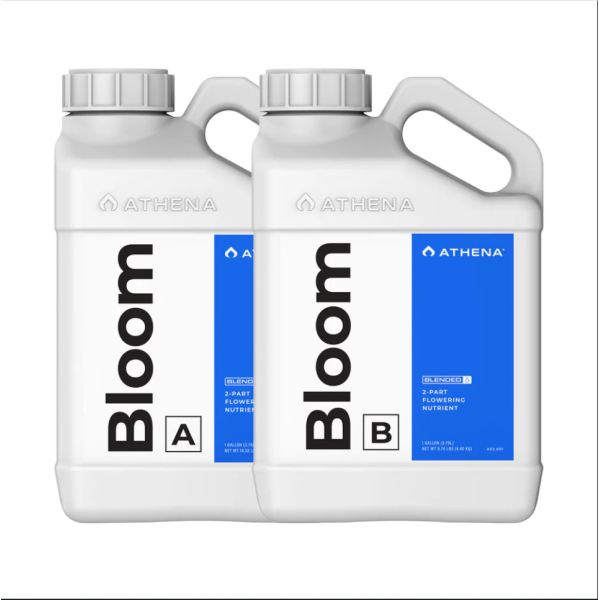 Athena Bloom B 0,94l