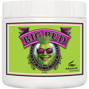 Advanced Nutrients Big Bud Powder 1kg