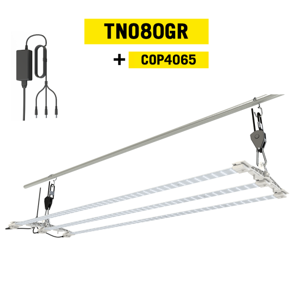 Secret Jardin Cosmorrow TNOLED 2x40W, růst