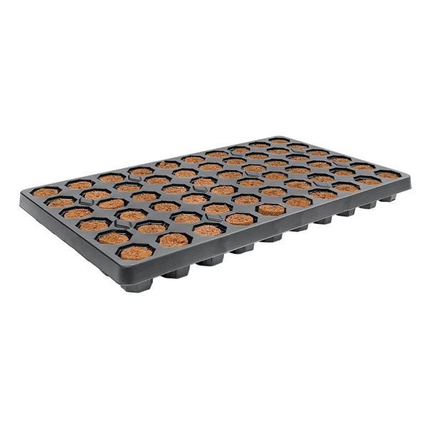 ROOT IT Dry Peat Free - 60 Cell Filled Tray