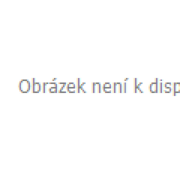 Tyson 2.0 Tričko Bílé vel. L