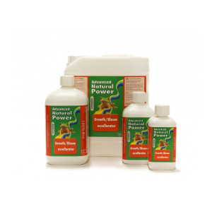 AH Gr/Bl Excellerator Advanced Natural Power 250ml
