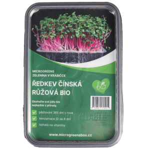 Microgreens sada Ředkev čínská růžová BIO