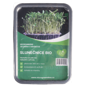 Microgreens sada Slunečnice BIO