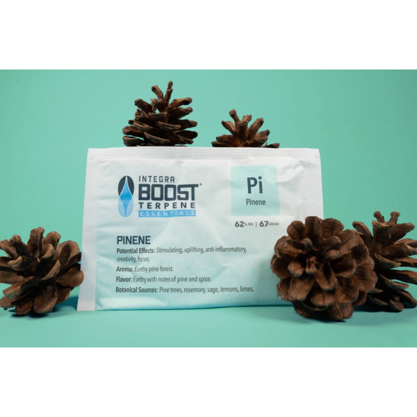 Integra Boost 62% 67g, PINENE, 1ks