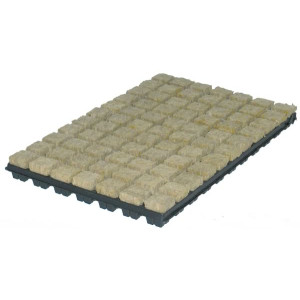 GRODAN sadbovací kostky 36x36x40mm v sadbovači po 77ks