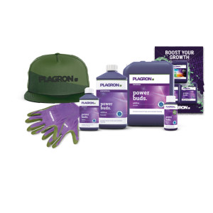 Plagron Power Buds Premium Selection Pack