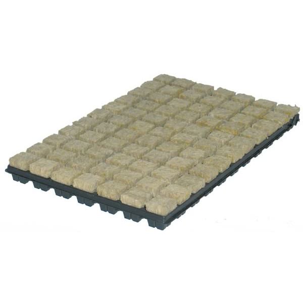 GRODAN sadbovací kostky 36x36x40mm v sadbovači po 77ks