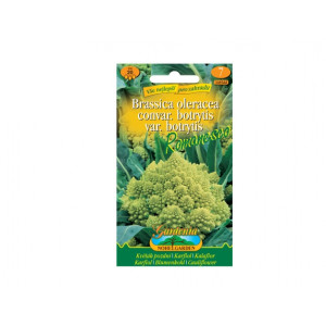 Květák pozdní  Romanesco