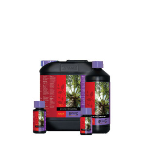 Atami B´cuzz Booster Coco, 5L