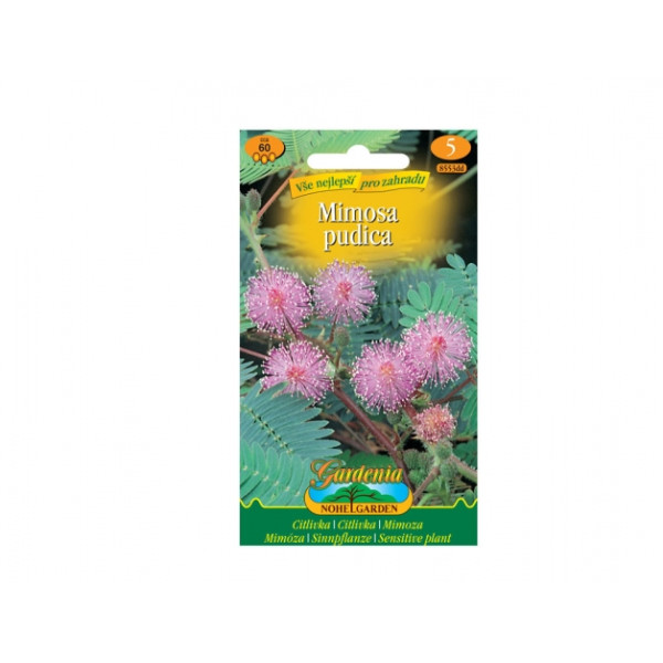 Mimosa Pudica - Citlivka