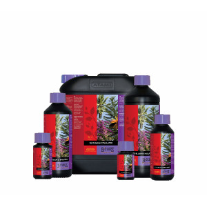 Atami B´cuzz Coco Bloom Stimulator, 500ml