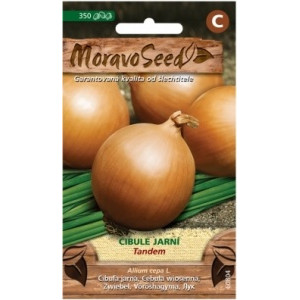 Cibule jarní žlutá Tandem - Allium cepa L.